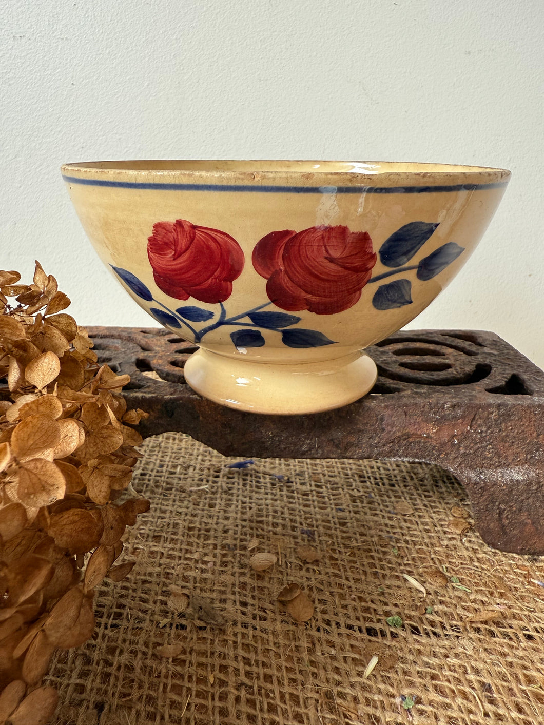 French Rose and Blue leaved cafe au lait