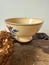 Load image into Gallery viewer, French Rose and Blue leaved cafe au lait

