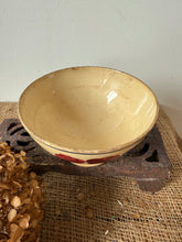 Load image into Gallery viewer, French Rose and Blue leaved cafe au lait
